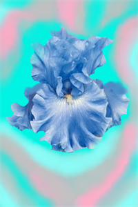 ПР 339.png